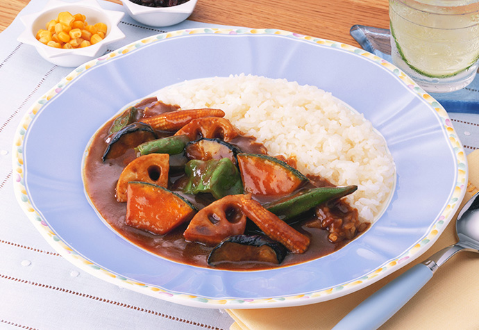 Japanese Style Curry